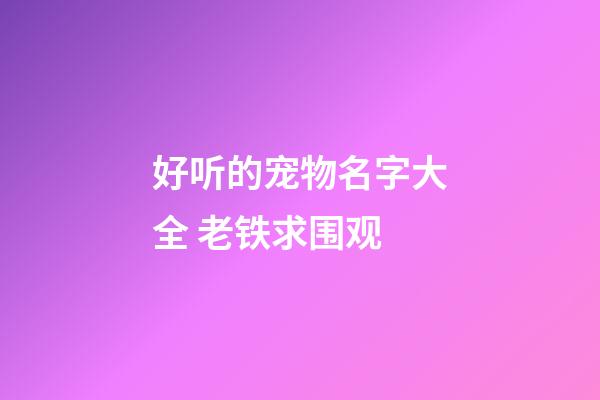 好听的宠物名字大全 老铁求围观